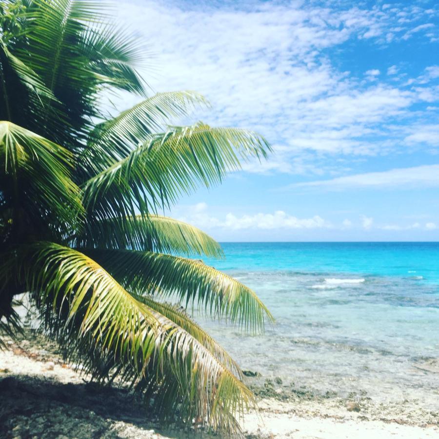 Le Fare Bleu Tiputa Rangiroa Appartement Buitenkant foto